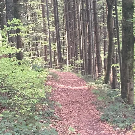 Bed & Breakfast Haus Am Alten Berg *