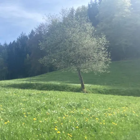 Bed & Breakfast Haus Am Alten Berg *