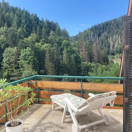 Bed & Breakfast Haus Am Alten Berg